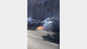 美 영화배우 “테슬라 차량에서 갑자기 화재…자율주행 차량은 아냐”