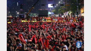 대한축구협회, 러시아 월드컵 한국 경기 모두 거리 응원 진행