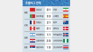 34만명 소국의 ‘천둥 축구’… 아이슬란드, 아르헨과 깜짝 무승부