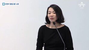 조현아 “간땡이가 부었다, 하루아침에 잘릴 사람”…남편 수행기사에 폭언