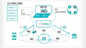 [비즈포커스]‘인스타코인 블록체인 플랫폼’ 구축… 마스타-비자를 겨냥하다