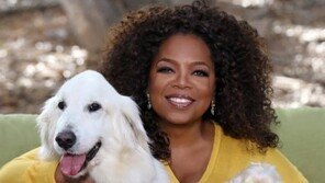 애플과 토크쇼의 여왕 '오프라 윈프리'의 만남…독점 프로그램 제작