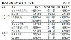상장사 100곳중 15개꼴… 올들어 최고가 기록 경신