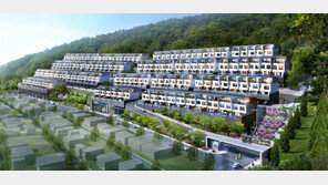 특화설계 도입한 타운하우스 인기