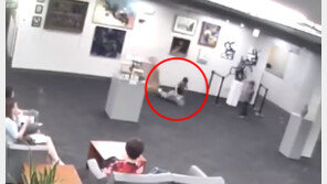 [영상]5세 아이 관리 소홀로 미술품 훼손…엄마가 1억5000 물어줘야?