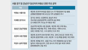 강남 3구 구청장 “재건축 가속” 목소리 높였지만…