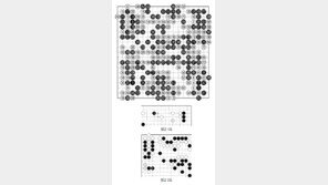 [바둑]알파고 vs 알파고 특선보… 상수의 바둑