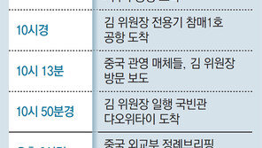 김정은 “시진핑 위대한 지도자”… 비핵화 후속협상 작전회의