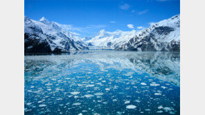 뜨거운 여름, 대자연속에서 쿨∼하게 보내자