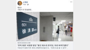 손혜원 “서청원 탈당? 사퇴가 더 멋질텐데..”