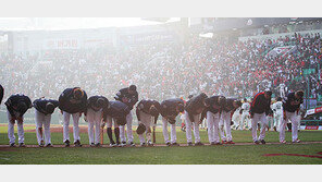 롯데의 6월 미친 방망이, 숫자로 본 파괴력