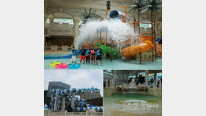 ‘둥둥리버’에 ‘투명풀’까지…“아빠, 하이원 가자!”