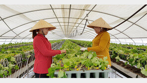 농번기 일손부족 돕는 ‘외국인 계절근로자’