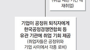 전속고발권 폐지 논란 와중에… 檢, 공정위 ‘기업 봐주기’ 정조준