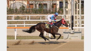 디펜딩챔피언 ‘검빛강자’ 부활할까