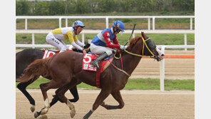 ‘월드선’ 깜짝 우승…국산 3세마 혼돈의 시대