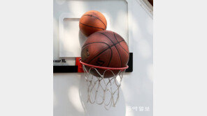 [고양이 눈]내 짝은 어디?