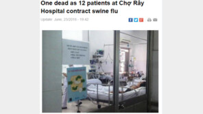 베트남서 ‘돼지독감’으로 2명 사망, 2009년 공포 또다시…