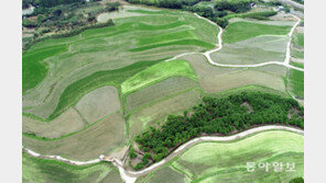 한 폭의 그림같은 다랑논