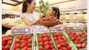 “피부에 좋은 여름 딸기 나왔어요”