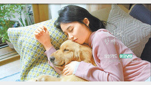 반려동물 커뮤니티 서비스… 고객과 소통에 적극