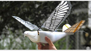 “中, 비둘기 날갯짓 ‘스파이 버드’ 드론 만들어 주민 감시”