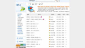 국내 최대 음란물 사이트 ‘소라넷’ 운영 40대女 구속…남편 등 공범 3명은?