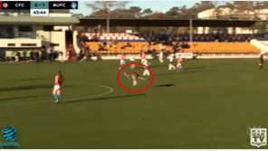 [영상]호주 축구경기장에 캥거루 난입,  “진짜 사커루 등장”