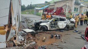 [안성 교통사고]정식 허가 없이 간판 달고 영업하는 무허가 렌터카?