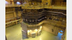 대우건설, 원자력분야 수익성 위주 해외사업 강화