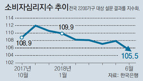 소비자심리지수 14개월만에 최저