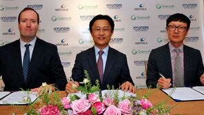 현대차그룹 “에너지저장장치사업 진출”