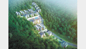 남이섬 더숲 풀빌라펜션, 잣나무숲 속 위치… 최적의 힐링 공간