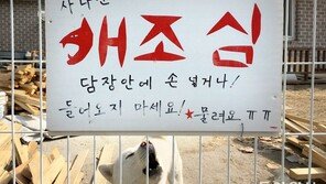 [고양이 눈]철통 경계