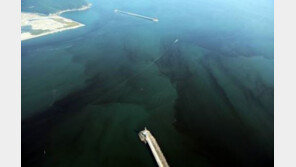 김성태 “與 가덕도 신공항 재추진, 영남권 지역갈등 노골적으로 유발”