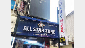 [2018 상반기 히트상품] 구질·속도 마음대로…안전한 스크린야구