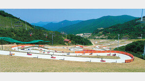 양산 에덴밸리에 세계 최대 ‘루지 체험장’ 들어선다