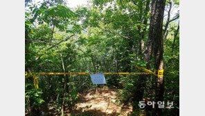 강진 여고생 살인사건 미스터리에 되살아난 장기 실종사건들