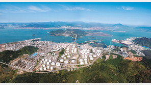 시장 다변화… 수출이 매출액의 71%