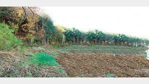 판교 금토동 1차 완판 이어 2차분 최종 매각