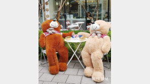 [고양이 눈]대화