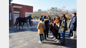 한국마사회, 말산업 진로직업체험 확대 시행