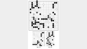 [바둑]알파고 vs 알파고 특선보… 무릎을 탁 치다