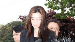 [종합]진에어 면허 취소? 국토부 결론 못 내…“업무 담당자는 수사 의뢰”