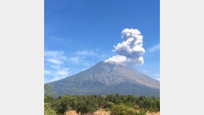 발리 아궁화산 분화→공항 폐쇄…발 묶인 韓人들 “진심 멘붕” 