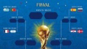 월드컵 16강 대진표, 36년만에 아프리카 전멸…우승 가능성 톱2는?