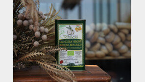 보브, 엑스트라 버진 올리브오일 ‘테나치아 올리브오일’ 런칭