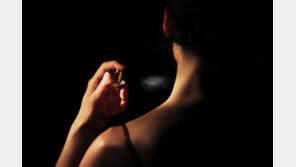  고속열차  화재경보로 운행 중단 …女승객 향수가 원인 ‘황당’