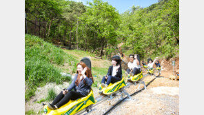 단양의 새 명소 ‘알파인코스터’ 개장