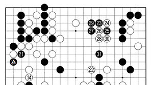 [바둑]알파고 vs 알파고 특선보… 연속 나온 뜻밖의 수